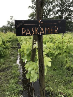 2Quy3k9R1CPVnPVSmMHvQ e1562411535317 NoChateau