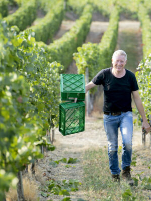 JohannisLandgraf Wijn van de Week: